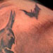 Tattoos - BATMAN - 14535